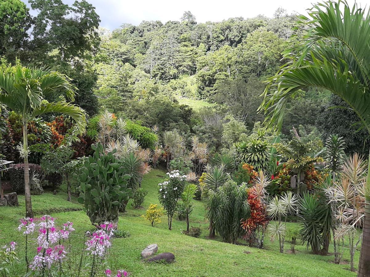 Marita'S Bed And Breakfast Nuevo Arenal Dış mekan fotoğraf